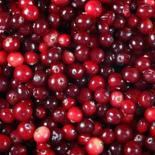 Ekstrakt z owoców żurawiny (Cranberry Fruit Extract)