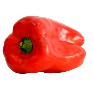Ekstrakt z owoców papryki rocznej (Capsicum Annuum)